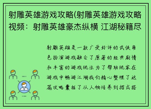 射雕英雄游戏攻略(射雕英雄游戏攻略视频：射雕英雄豪杰纵横 江湖秘籍尽在掌握)